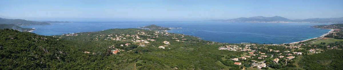 Domaine Sorbella, vente de terrains en Corse, golfe d'Ajaccio Oliviers sur les terrains du lotissement Sorbella en Corse